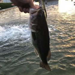 ジョイクロ128テスト