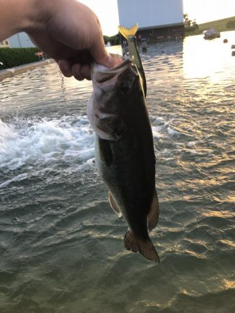 ジョイクロ128テスト