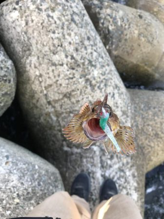 ショックリーダーだけで