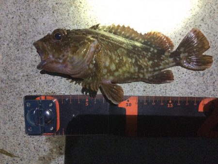 久しぶりの須磨へ