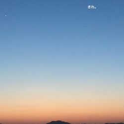 夕方からちょろっと。