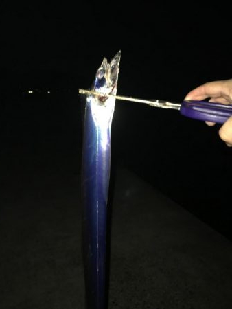 タチウオリベンジ