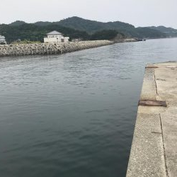 本命ではないですが