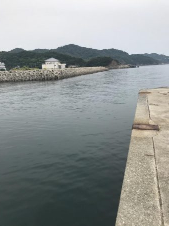 本命ではないですが