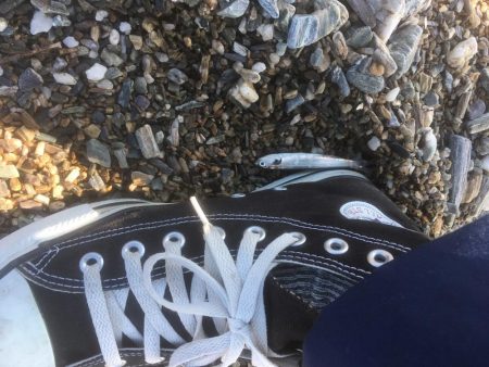 大神子で本命のエソ