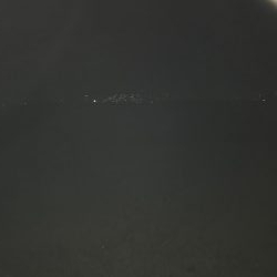 バチがいなくなった(T-T)