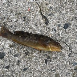 マムシは良く効く