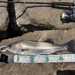 パターンを掴むと