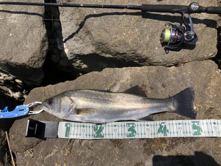 パターンを掴むと