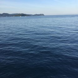 烏賊 不発からのオカズ釣り