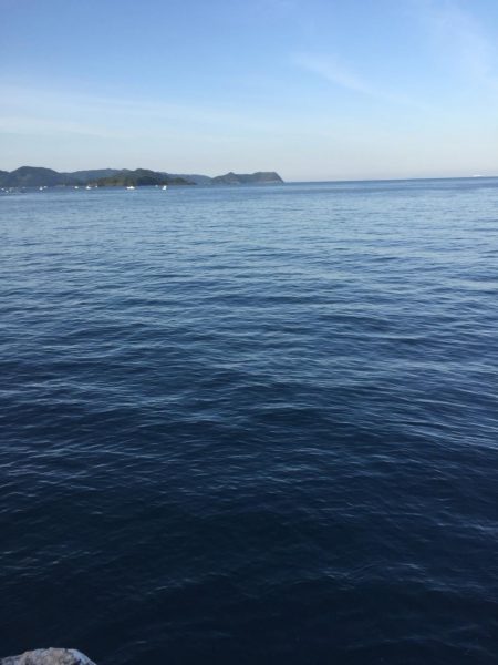 烏賊 不発からのオカズ釣り