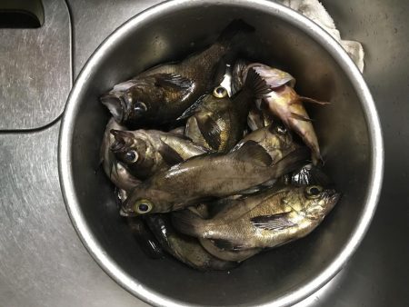 好調メバリング♪