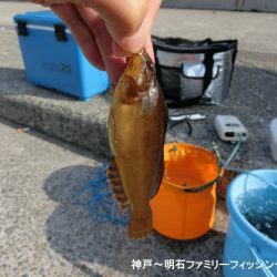 根魚絶好調