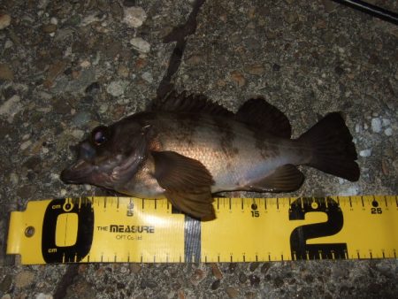 予想外のアミパターン