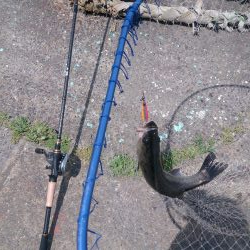 しばらくぶりだよ停泊船ゲーム