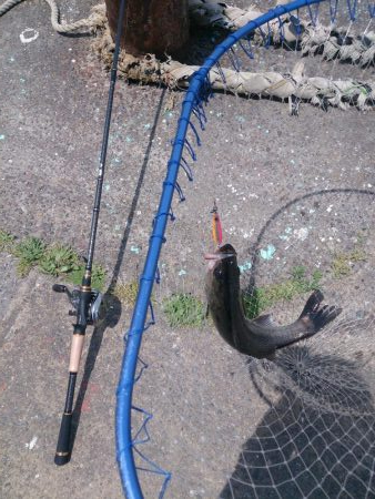 しばらくぶりだよ停泊船ゲーム