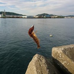 ライトワインドゲーム