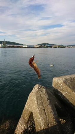 ライトワインドゲーム