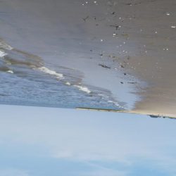 とりあえずヒット！