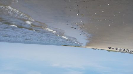 とりあえずヒット！