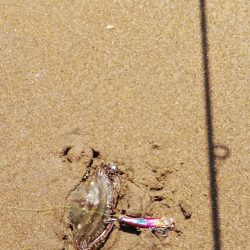 雨上がりのサーフ