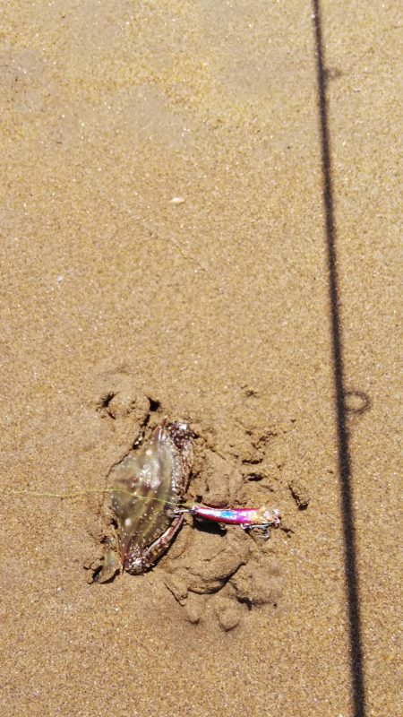 雨上がりのサーフ