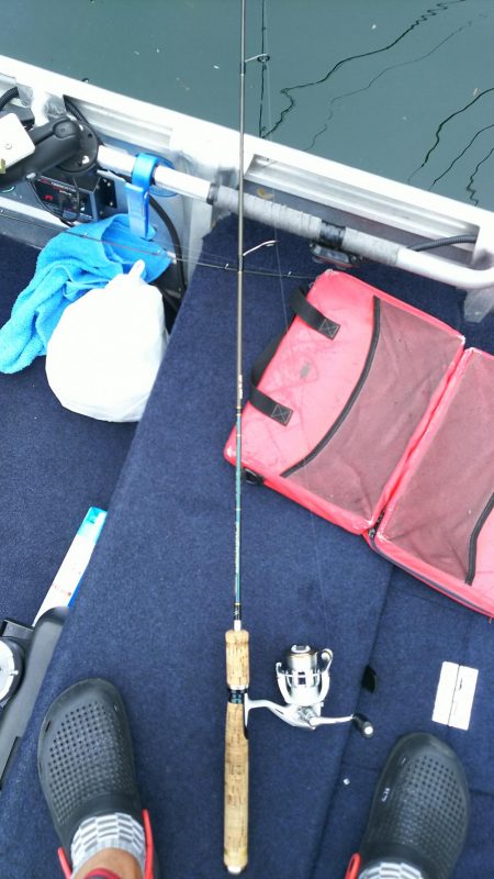 ネストを探して