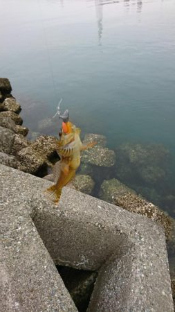 ライトワインド