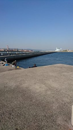 武庫一でのフラップははたして青岸で通用するのか！？