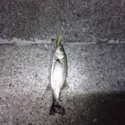 スランプ脱出！？