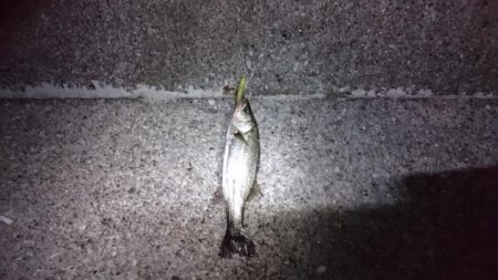 スランプ脱出！？