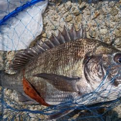 ゴールデンウィーク釣行2日目