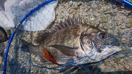 ゴールデンウィーク釣行2日目
