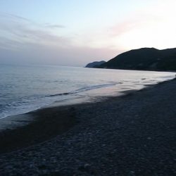 浜からのナブラ打ち