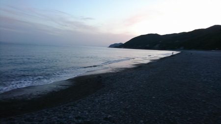 浜からのナブラ打ち