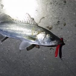 なんかイマイチ