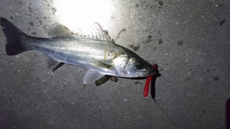 なんかイマイチ