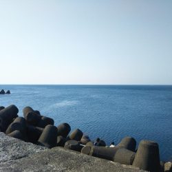 久しぶりのアジング