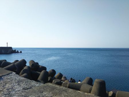 久しぶりのアジング