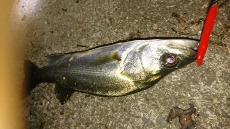 スローに誘って