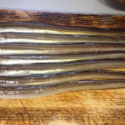 穴子の天ぷらが食べたくて