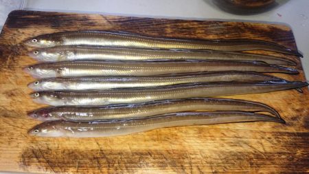 穴子の天ぷらが食べたくて