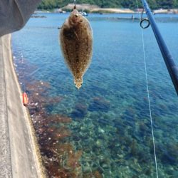 キス開幕してました