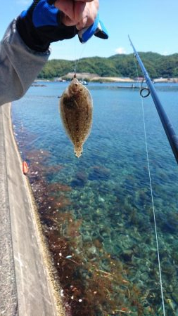 キス開幕してました