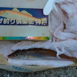 ＧＷラスト釣行