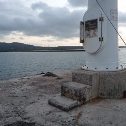 早朝１投目にオニヒラアジヒット