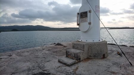 早朝１投目にオニヒラアジヒット