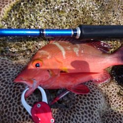 リーフエンドでルアーフィッシング