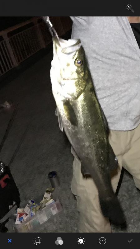 南芦屋浜にて初