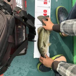 バス釣り40アップ2本